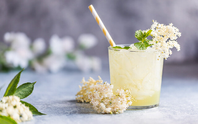 Elderflower Gin Fizz